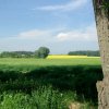 Tour 5: Krumminer Wieck